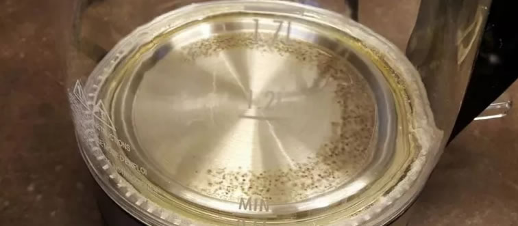 Blink and think — which everyday kitchen staple is your best bet for stripping scaly hard-water buildup from a kettle?