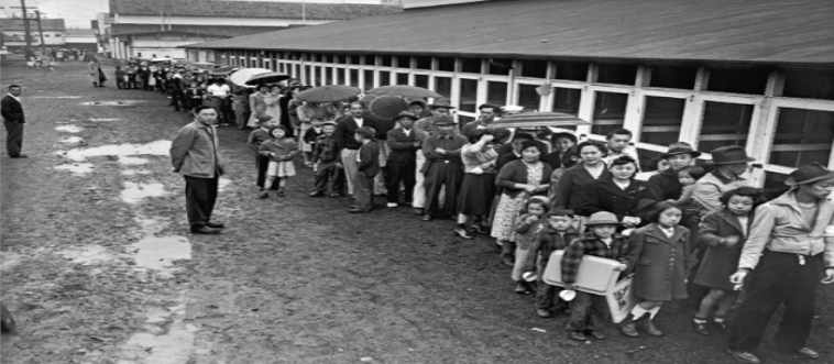 First instinct: which group of citizens and immigrants was forced into West Coast internment camps by Executive Order 9066?