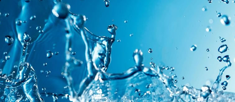 Quick — what's your most reliable bet for purifying wild water on the trail?