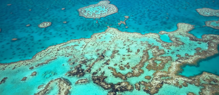Can you name these geographical world records? Only 5% Ace This Geography Quiz!