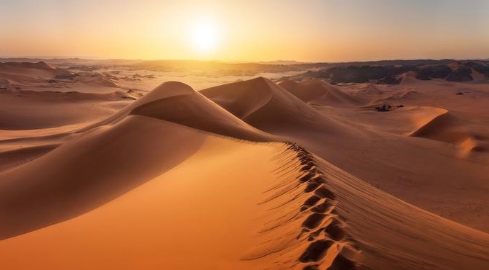 Could You Outlast the Scorching Sands? Test Your Desert Survival Skills!
