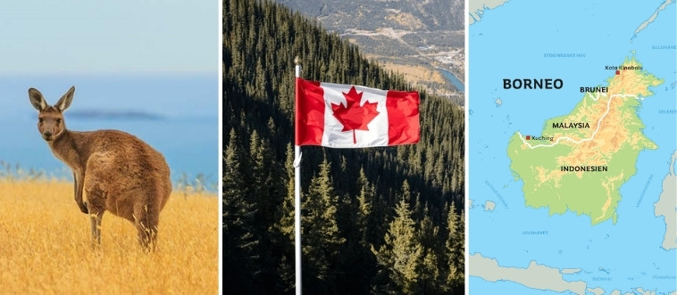 This World Countries Quiz Stumps Most People – Can You Ace It?