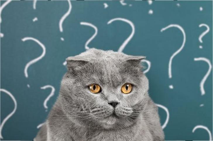 Let’s Be Real—Nobody’s Scoring 100% on This Brutal All-Subjects Trivia Quiz
