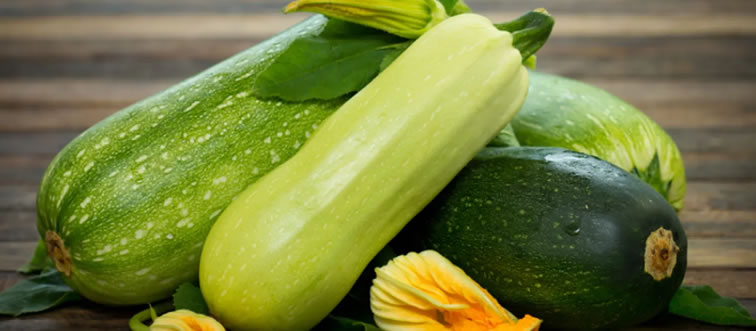 Quick — can you place this green favorite?