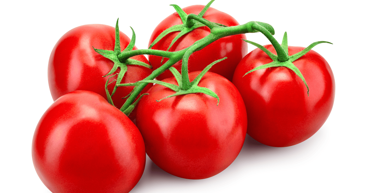 Blink and think — where does the Tomato land on the botanical chart?