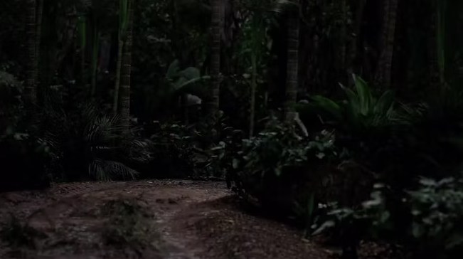 Blink and think — you wake up disoriented in a pitch-black, thick jungle canopy. What is your very first move?