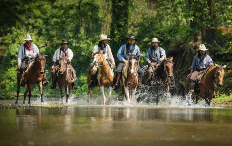 Most People Flunk This Cowboy Quiz – Can You Ace It?