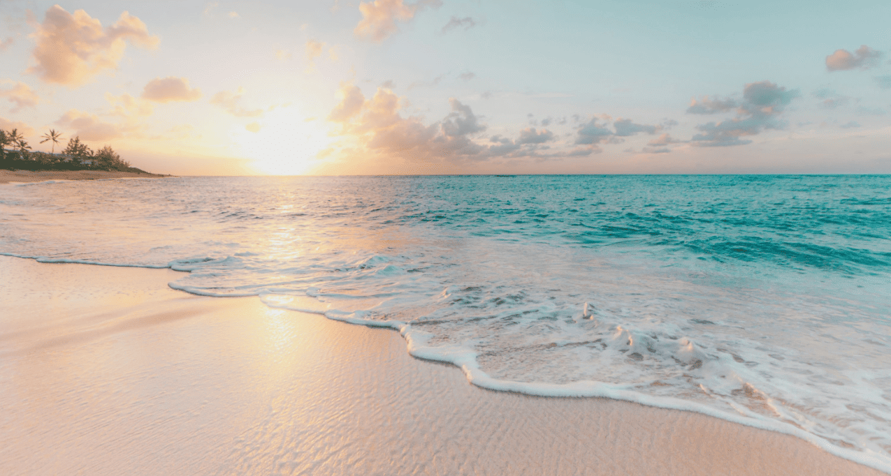 First instinct: are you heading straight for the sandy beach or diving into the ocean?
