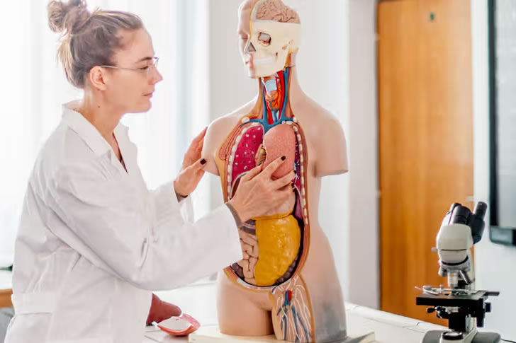 Only 1% of People Can Ace This Human Anatomy Quiz — Are You One of Them?