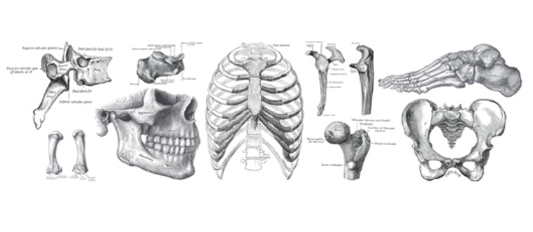 Can You Name ALL These Medical Fields? Only 1% Earn the PhD in this Ologies Quiz!