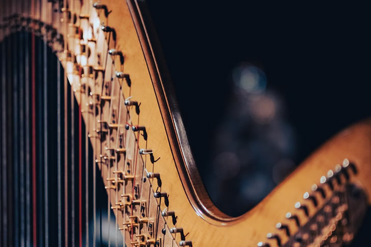 Only 1% Can Name All These Musical Instruments — Are You That Tuned In?