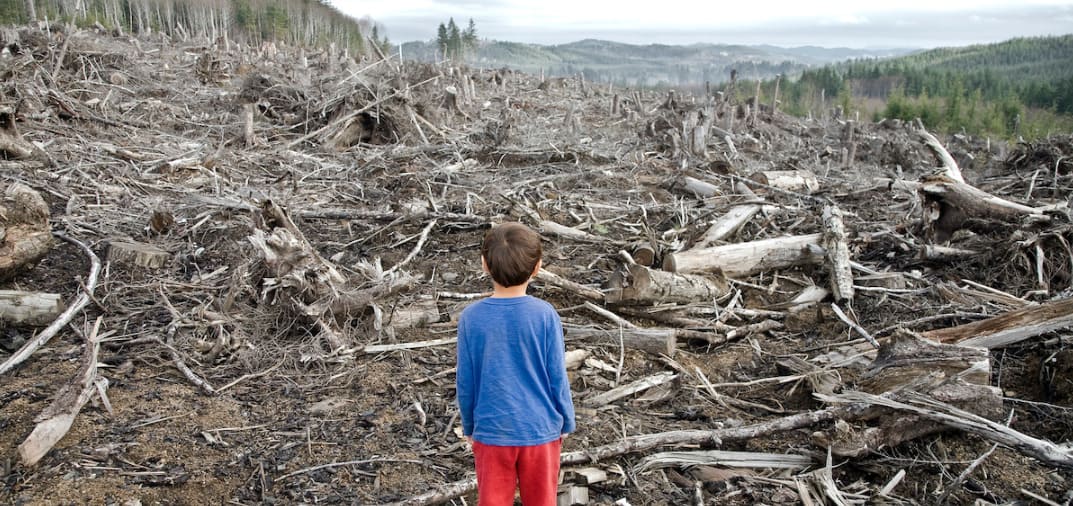 Blink and think: once you've locked down rations and a radio in a collapsed world, what is your immediate priority for the long haul?