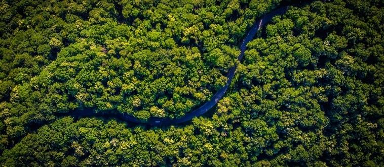 The Amazon’s Ultimate Survival Quiz: Can You Defy the Impossible?