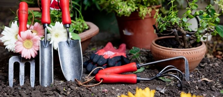 Can You Identify EVERY Gardening Tool in This Image? Most Can’t!