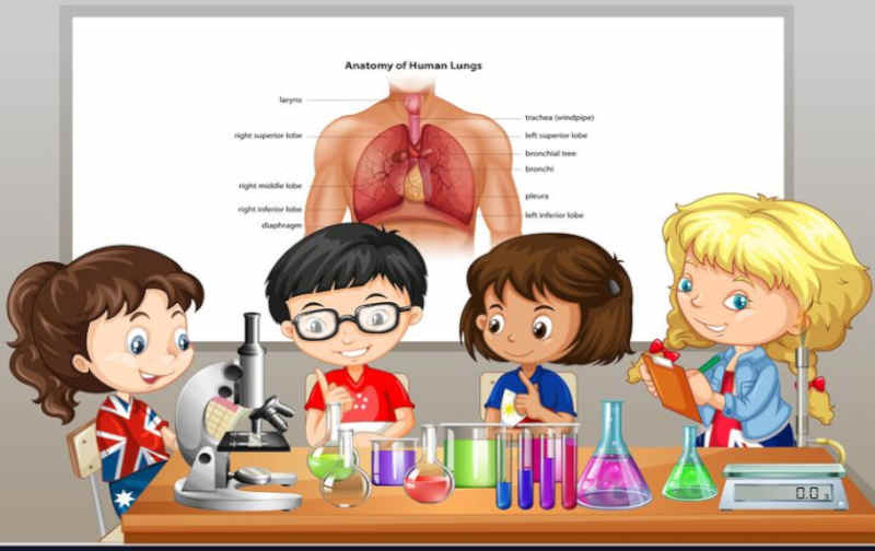 Think You're Smarter Than a 5th Grader? This Science Quiz Will Prove It.