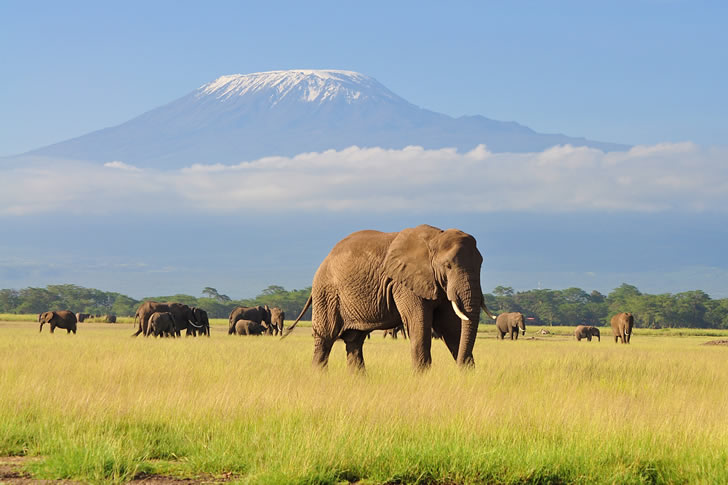 If You Can Pass This Geography Quiz, You're Smarter Than Most People