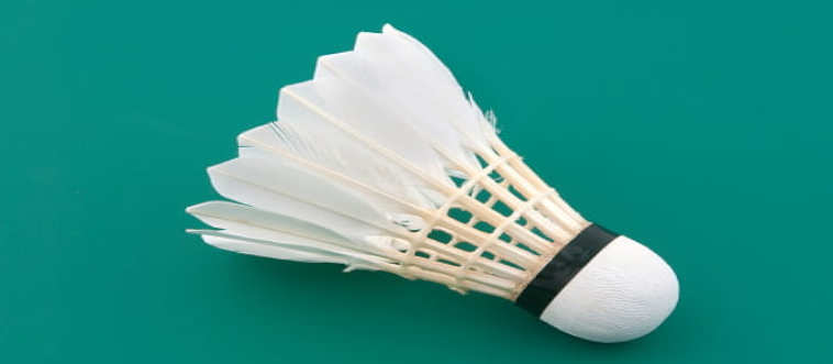 Blink and think — in which racket sport do you send a feathered shuttlecock flying?