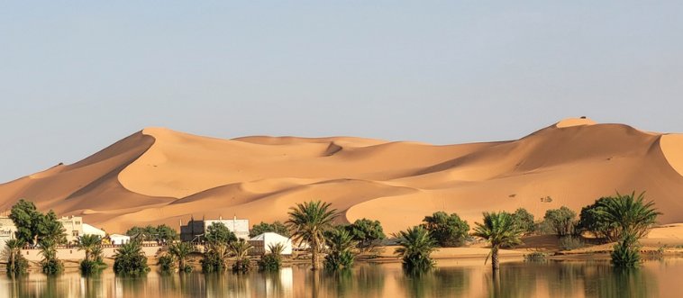 Imagine this: you're stranded in a dry desert with no water. Quick — what’s your best bet to locate a hidden source?