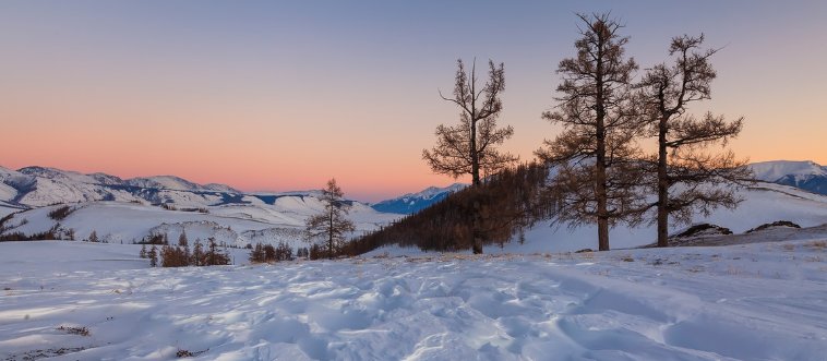 Face Nature’s Fury Head-On: Can You Pass This Survival Test?