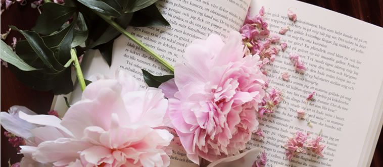 Quick — does this line belong on a page or a playlist? "I have died every day waiting for you"