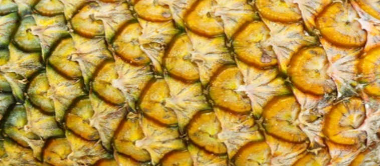 Quick — can you identify this tropical texture?