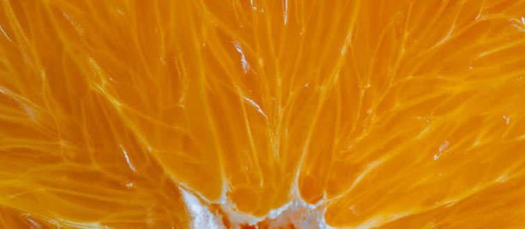 First instinct: which fruit is hiding in this macro shot?