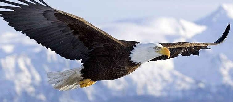 Quick — can you place this iconic symbol of freedom?