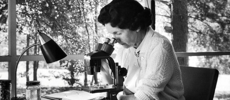 Women in Power: Most People Think They Know Herstory – This Quiz Proves They Don’t