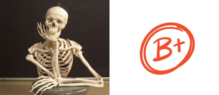 Can You Score Higher Than 50% on This “No Doctor Degree Required” Bone Quiz?