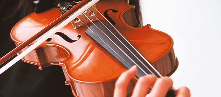 Blink and think — which member of the string family are we looking at here?