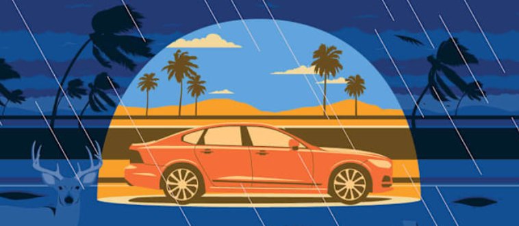 How Well Do You Really Know Your Rights? A Quick Check for Seniors from a Car Accident Lawyer