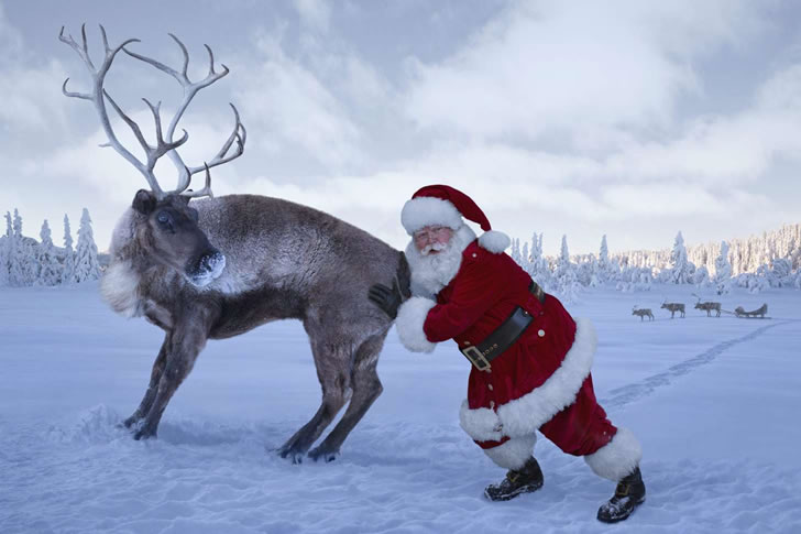 Only Certified Christmas Legends Can Pass This 38/40 Holiday Challenge