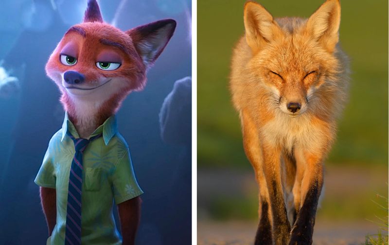 Disney Animal Quiz: What’s This Creature in Real Life?