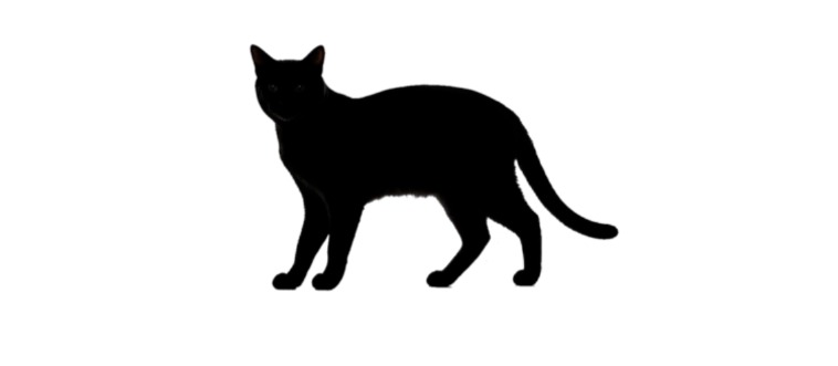 Blink and think — which creature casts this specific silhouette?