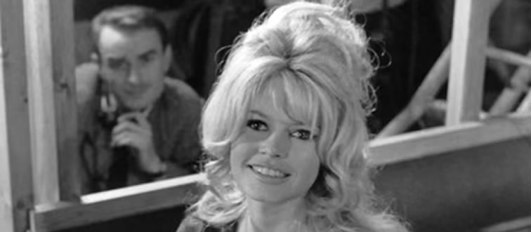 First instinct: which legendary 1960s hair masterpiece is pictured here?