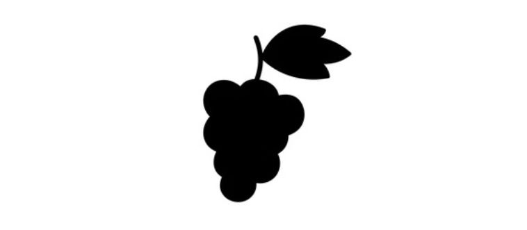 Quick — can you name this fruit?
