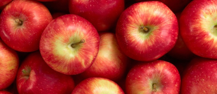 First instinct: which popular orchard harvest is this?